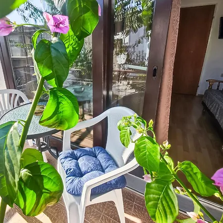 Biljana Apartament Makarska